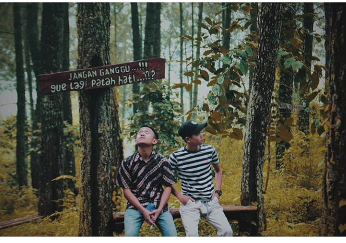KEINDAHAN LAWANG PINUS