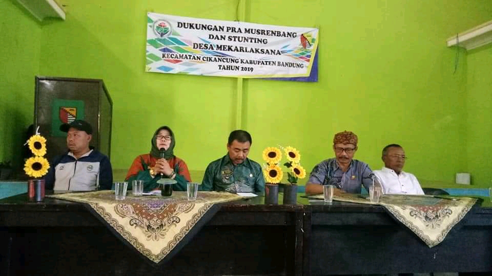 MUSYAWARAH DESA KELUARGA BERENCANA (KB) 2019